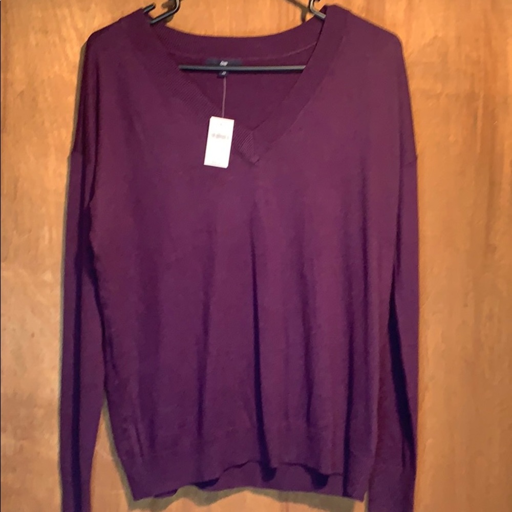 NWT Gap v-neck sweater